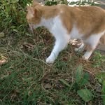 Ara Basilis - @ara.basilis - Instagram