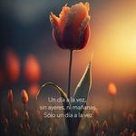 Ara Retana - @retanaara - Instagram