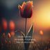 Ara Retana - Facebook