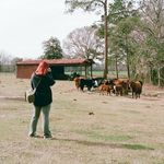 arabella brown - @arabellagbrownphotography - Instagram