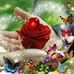 Araceli Alberto - Facebook