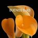 Araceli Borjas - Facebook