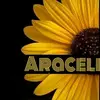 Araceli de Ortega 8394 - @araceliborjas629 - TikTok