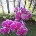 Araceli Carlos - Facebook