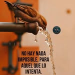 Araceli Castro Dimas - @aracelicastrodimas - Instagram