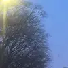 Araceli Dominguez - @araceli.dominguez42 - TikTok