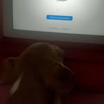 Araceli Jáuregui - @araceli.jauregui.75685 - Instagram