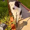 Araceli Jauregui - @aracelijauregui02 - TikTok