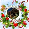 _aracelileal - @_aracelileal - TikTok