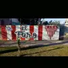 @ara - @aracelidelomas - TikTok