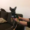 Araceli Macias - @araceli.macias02 - TikTok