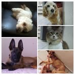 Araceli Otero - Facebook