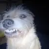 Araceli Otero - @araceliotero295 - TikTok