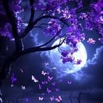 Araceli Quevedo Elizalde - Facebook