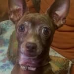 Araceli Olivares - @araceli.rosillo - Instagram