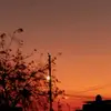 Araceli Rosillo - @araceli.rosillo7 - TikTok