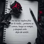 Araceli Santos - @aracelisantos60 - Instagram