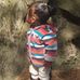 Araceli Tapia - Facebook