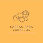 Aracely Díaz - @carpas.para_caballos - Instagram