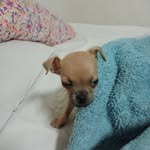Aracely partida - @partida_aracely - Instagram