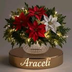 Aracely Pinto - Facebook