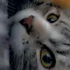 Aracely Pinto - @aracelypq.21 - TikTok