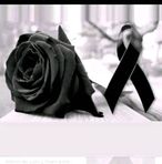 Aracely Gomez Real - Facebook