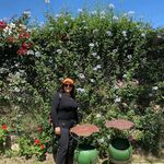 Aracely Rocha Torres - @aracely.rocha_ - Instagram