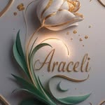 Aracely G Solano - @aracelisolanogarcia - Instagram