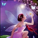 Aracely Solano - Facebook
