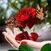 Aracely Torres - Facebook