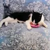 Aracely Vasquez - @aracely.vasquez459 - TikTok