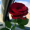 Aracely Vasquez - @aracelyvasquez686 - TikTok