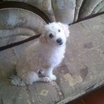 jackson aramis Rodriguez gomez - @jacksonaramisrodriguez - Instagram