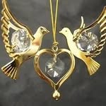 Arben Miftari - @arben_mifatri - Instagram