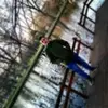 Arber Halili - @arberhalili8 - TikTok