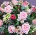 Arcadia Flores - Facebook