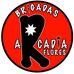 Brigadas Arcadia Flores - Facebook