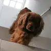 Arcelia Rubio - @lunitam1 - TikTok