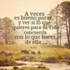 arceliarubiohered - @arceliarubiohered - TikTok