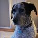 Archie Lane - Facebook