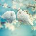 Archana Sinha - Facebook