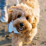 Archie Briggs - @mrarchiebriggs - Instagram