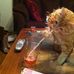 Archie Brooks - Facebook