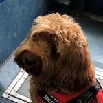 Archie Brooks - @archiebrooks40 - Instagram