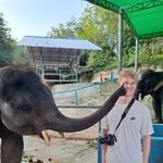 Archie - @archieclementss - Instagram
