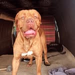 KING ARCHIE👑👑 - @archie_clements - Instagram