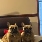 Archie Collins - Facebook