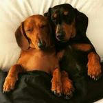 Archie Collins - @archie_collins2007 - Instagram