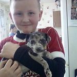 Archie Collins - @collins_archie - Instagram